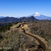 冬の登山道