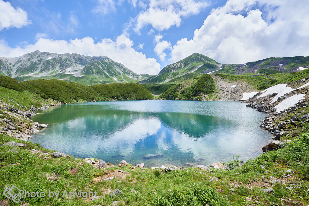 輝く夏に