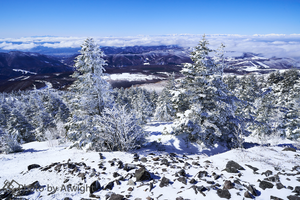 雪化粧