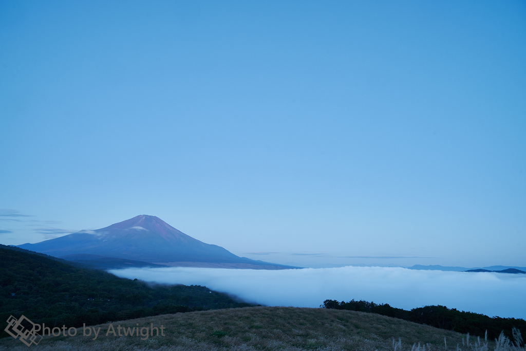 湖面が覆われる