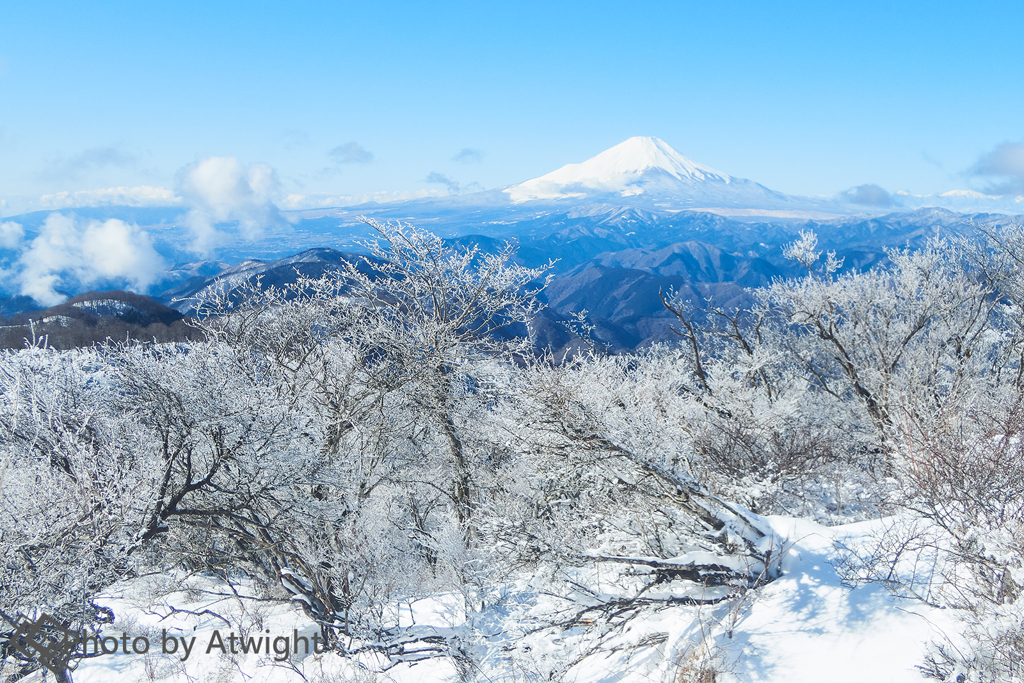 冠雪の景色