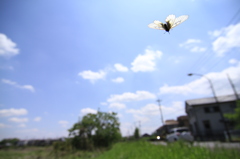 この町で一等賞になりたいんだ