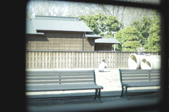 ほーら、起きて