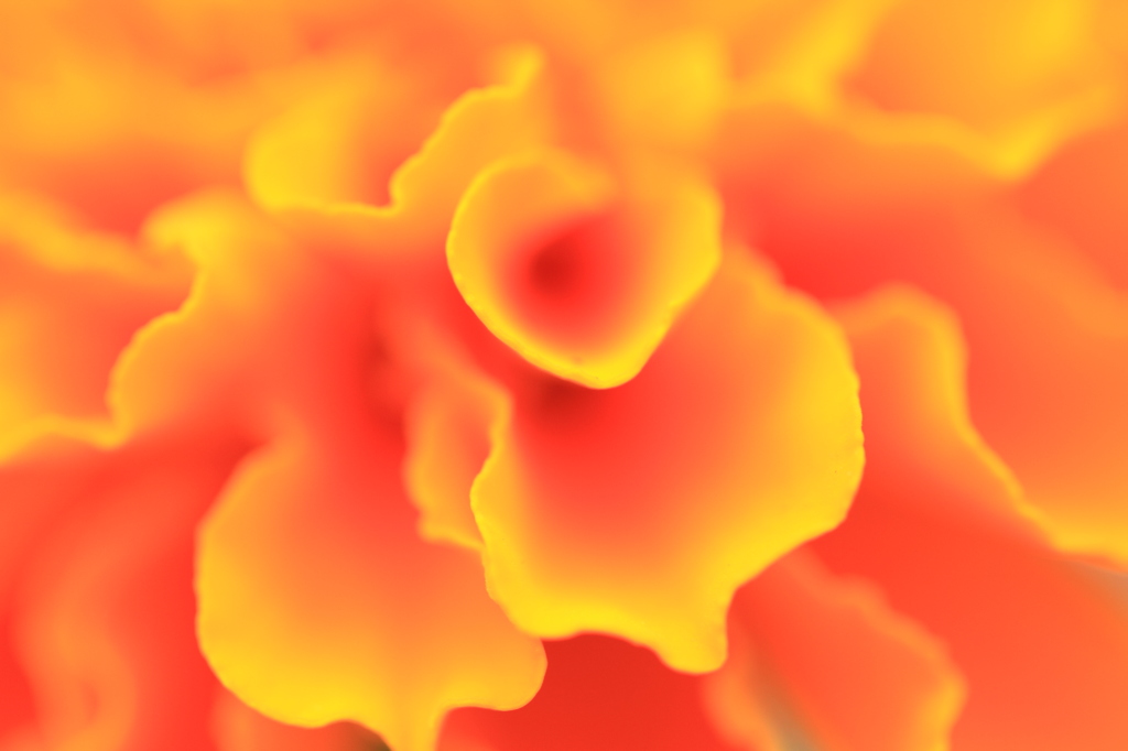 グラデーション