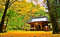 黄金色に染まる・・・二岡神社  ～其の二～