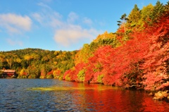 紅葉を見に行こうよう(*´з`)～其の壱～