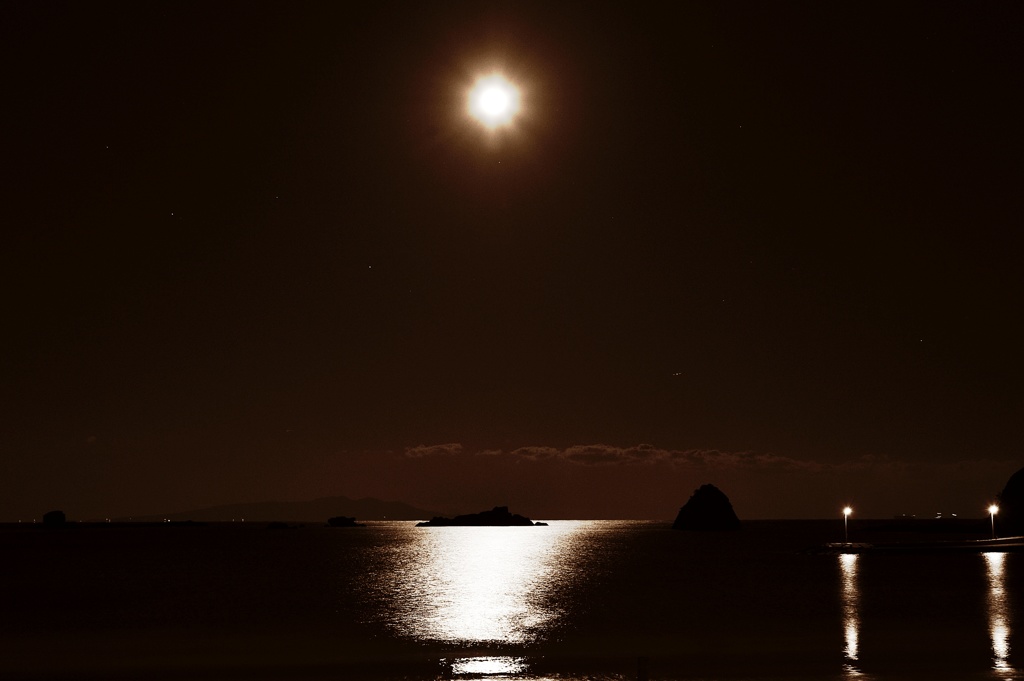 月夜の晩に・・・伊豆大島を臨む