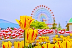 Pastel Color の風景