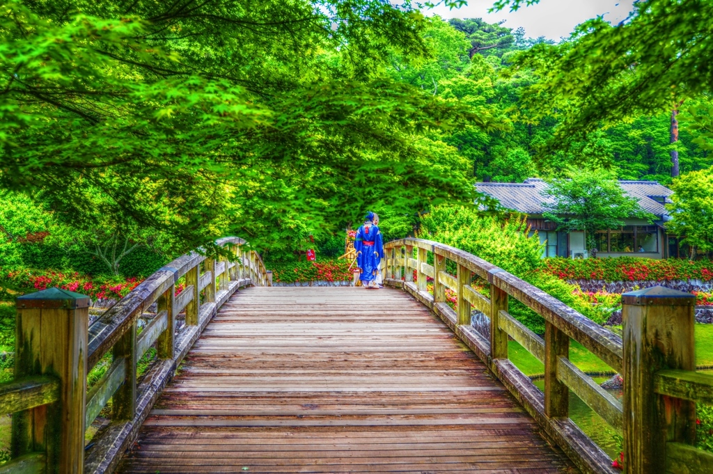 Welcome to GreenForest ～橋～