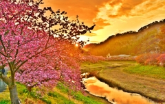 早春の風景 ～朝焼け～