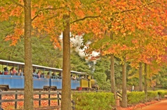 Live Steam　~紅葉~