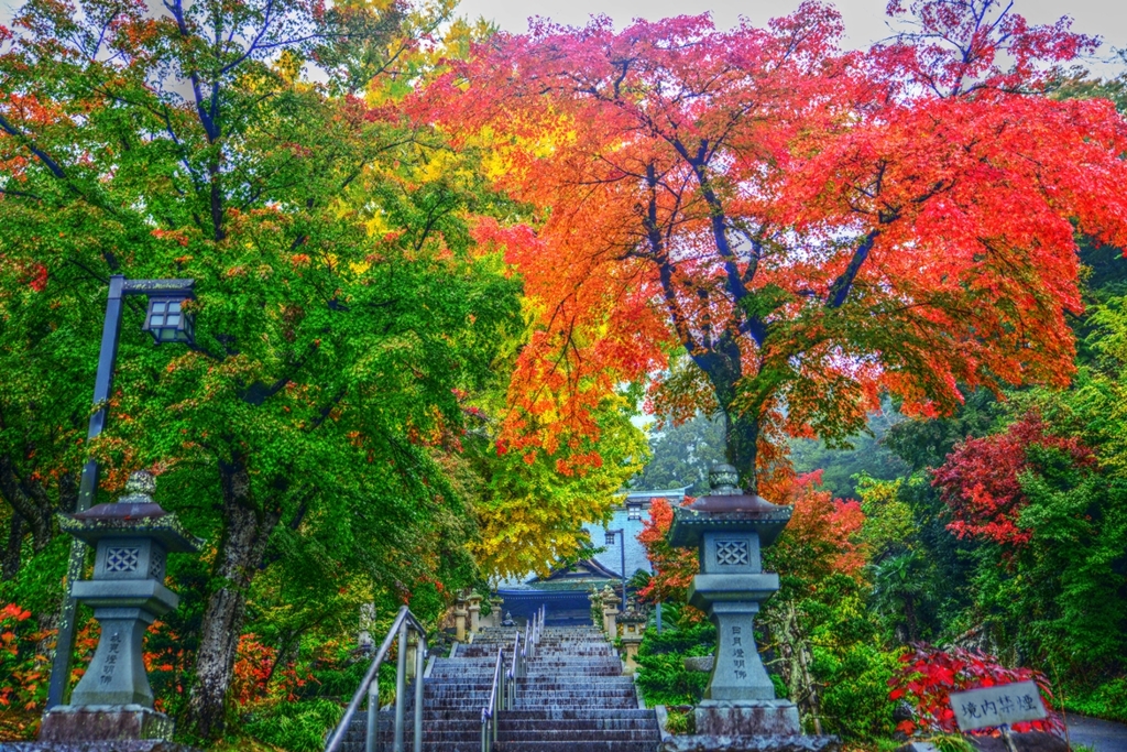 秋山 霜零覆 木葉落 歳雖行 我忘八