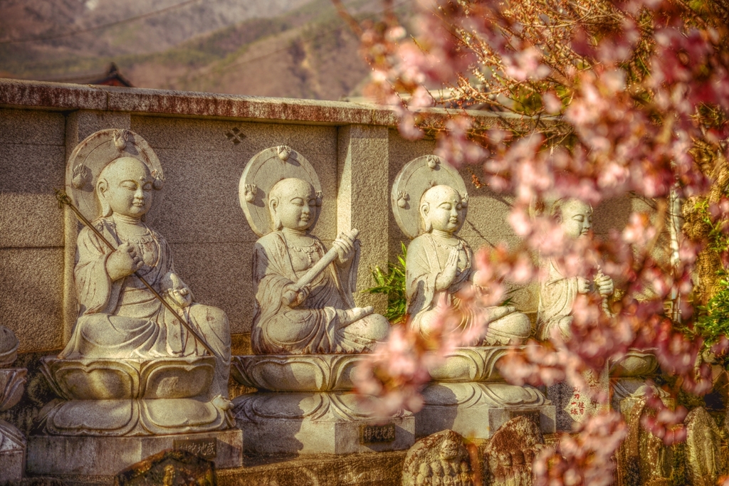 多情仏心　～泉勝院～