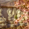 多情仏心　～泉勝院～