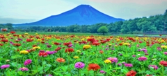 夏富士の望景
