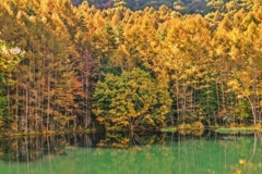静かな湖畔の秋景色・・・御射鹿池