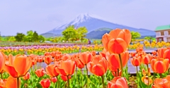 Pastel Color の風景 ～Mt.FUJI～