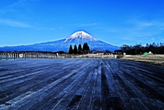 Mt.Fuji of January ～Tanukiko Side ～