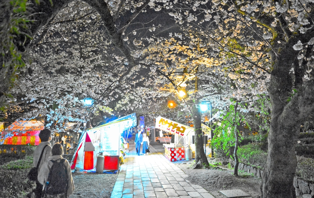 恋人たちのペイブメント