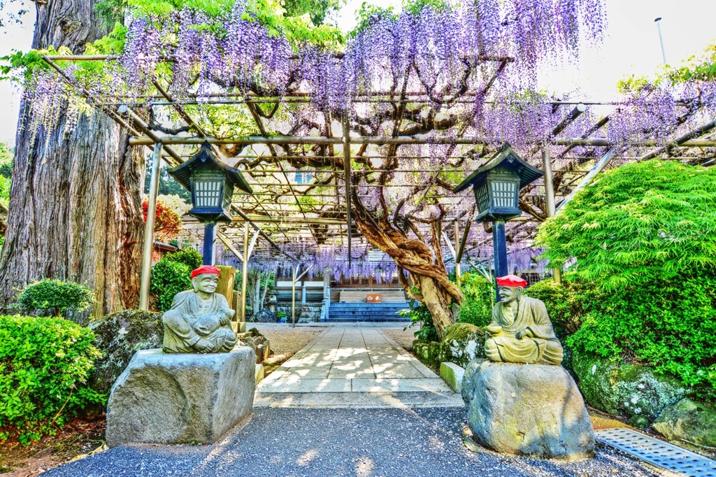 そうだ、林泉寺へ行こう・・・