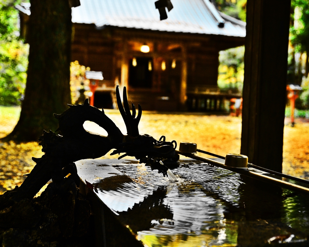 晩秋の色彩 ～二岡神社～