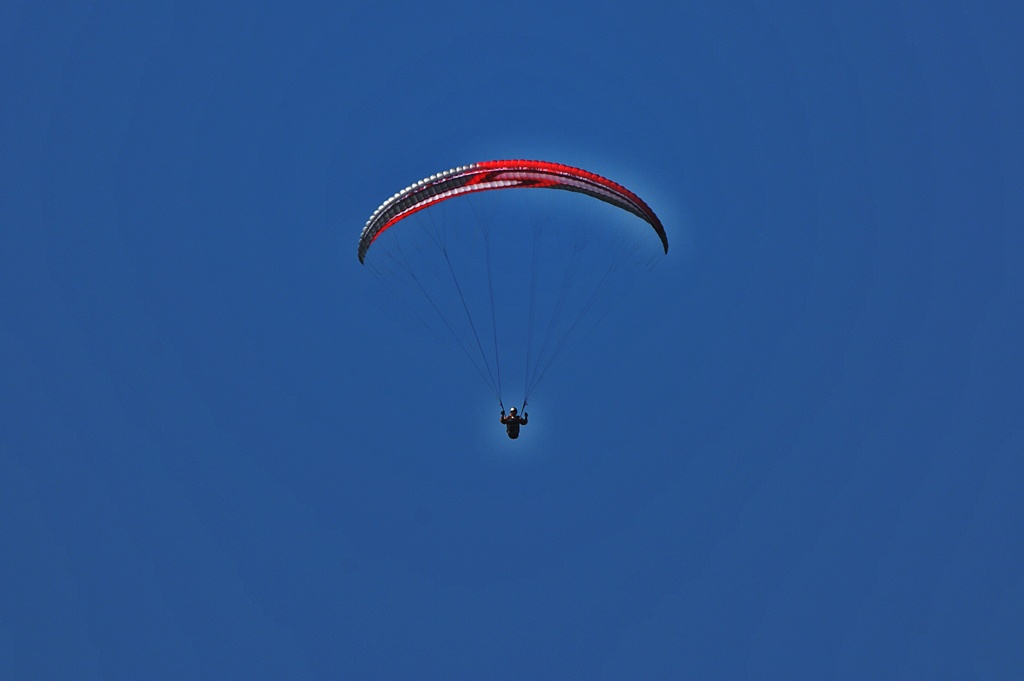 天高く・・・Autumn with the sky clear and blue