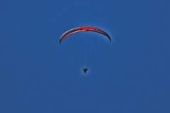 天高く・・・Autumn with the sky clear and blue