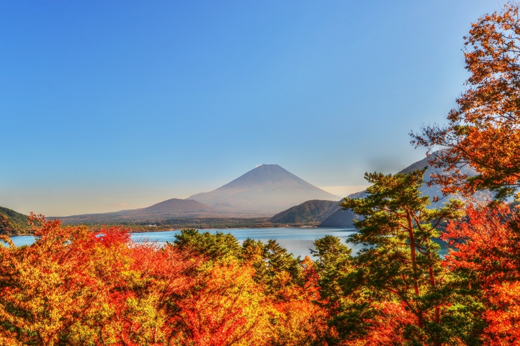 November of Mt. Fuji ～Motosu Side～