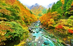 日本の秋 ～奈良田の紅葉～