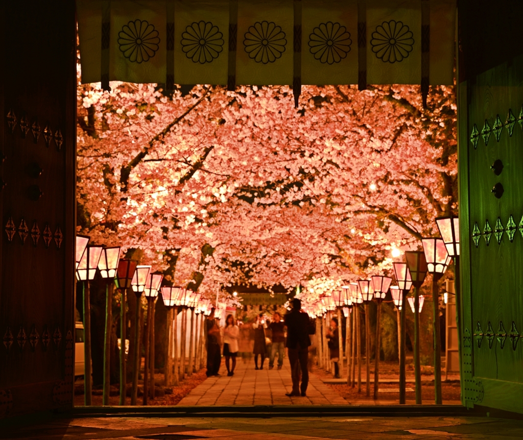 夜桜　～終章～　