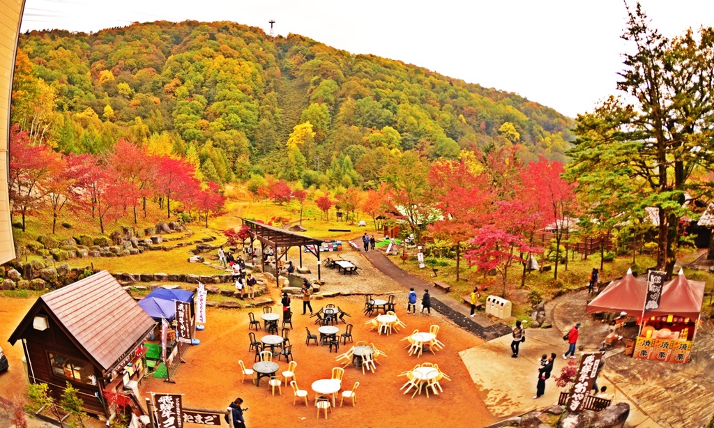 紅葉を見に行こうよう(*´з`)～其の四