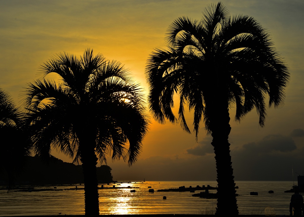 朝の様な夕暮れ