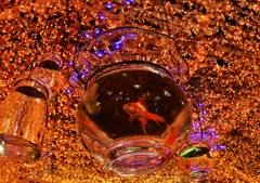 Aquarium　〜時之栖〜