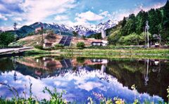 初夏の情景 ～白馬村～