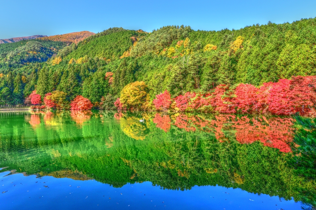 鏡面の秋景色・・・南伊奈ケ湖