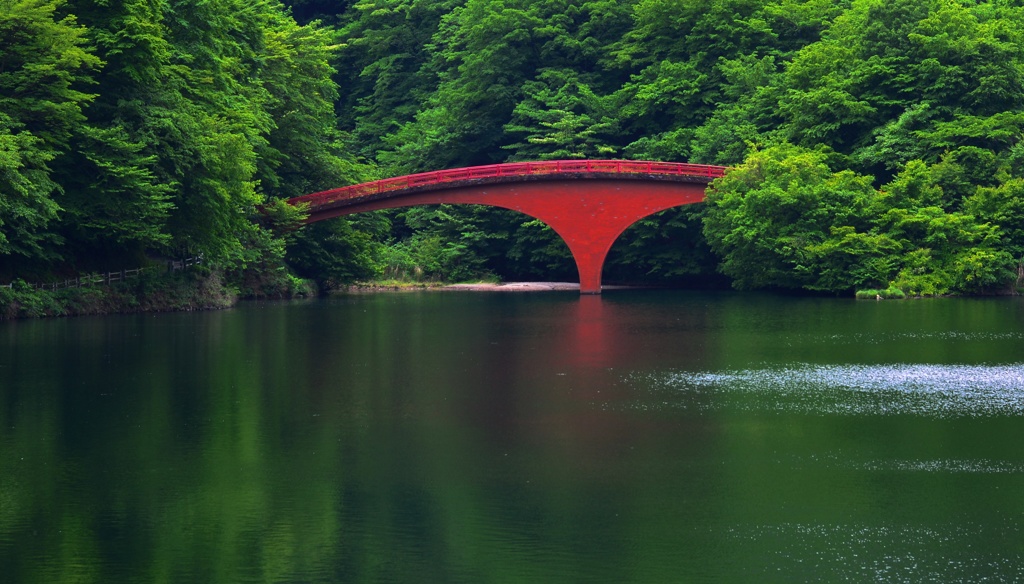 翠を支える紅