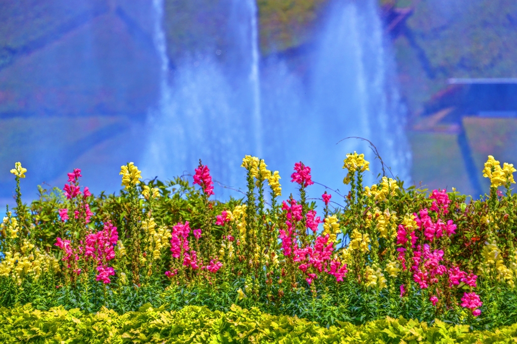 Green Forest ~Sprinkler~
