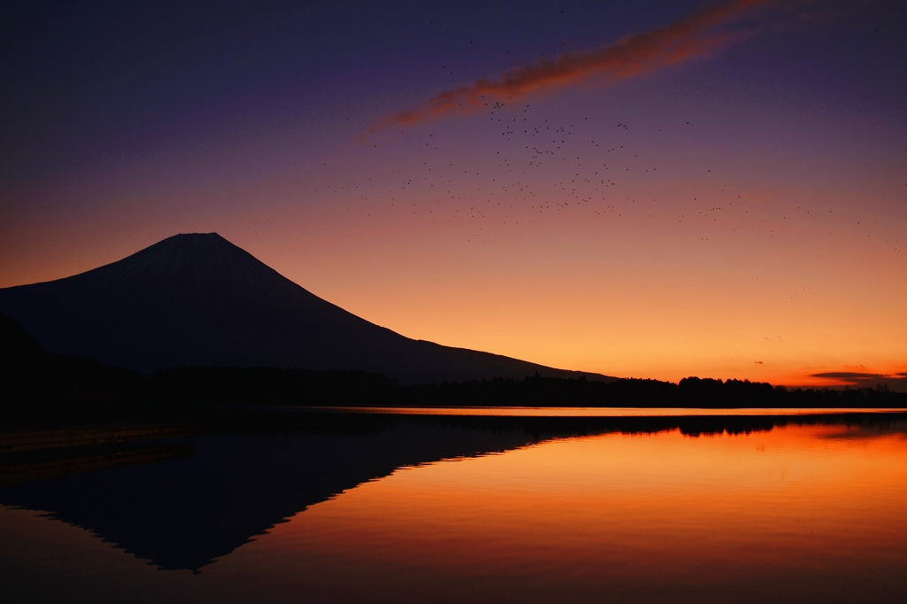 夜明け前・・・田貫湖