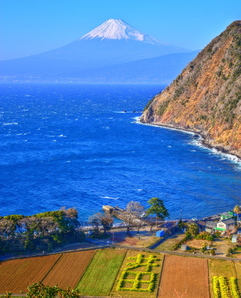井田の春 ～富士遠望～