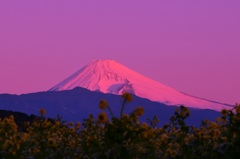 氷点下３度の風景～弐～