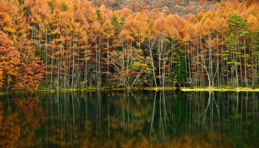 Autumn  ～御射鹿池～