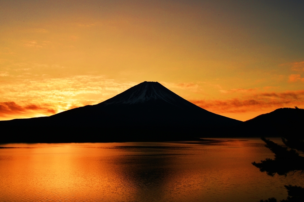 これが本栖湖の夜明けぜよ・・・(*´з`)