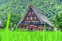 日本の夏・・・五箇山の夏