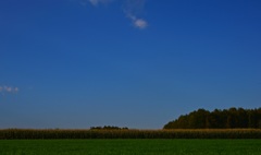 AUTUMN　~Similar to George Winston~