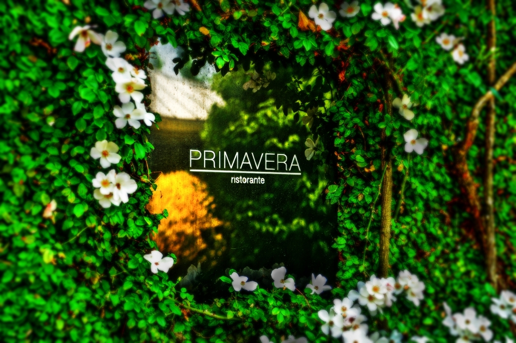 Green Forest ～ristorante PRIMAVERA～