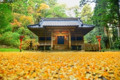 銀杏紅葉の舞散る二岡神社で・・・たった今、風が止まった