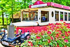 Green Forest ～ROMNEY BUS～