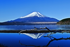 初冬の造景　～Mt.FUJI～