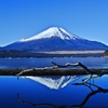 初冬の造景　～Mt.FUJI～