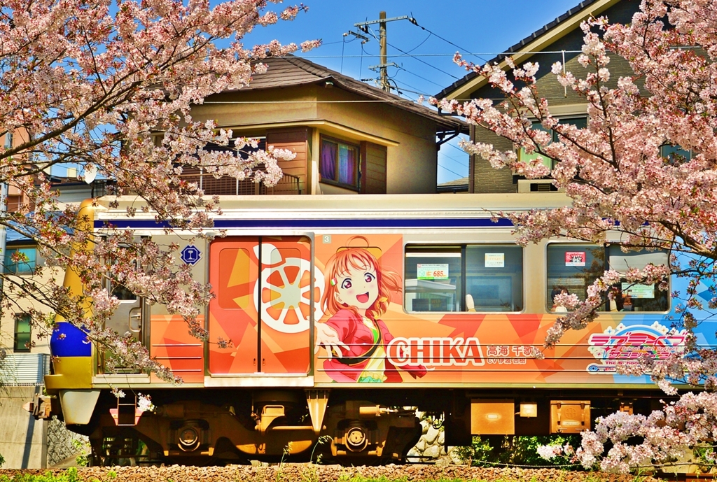 桜が終わる前に・・・ﾗﾌﾞﾗｲﾌﾞｻﾝｼｬｲﾝ